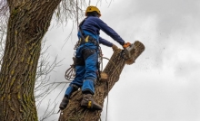 Alpinist Utilitar Tomesti Alpinist Utilitar Tomesti - REACH SKY ALPIN S.R.L